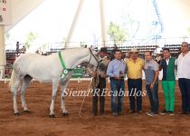 W PREMIO PARA LA CAMPEONA JOVEN DEL CONCURSO, VYP KENIANA. RECOGEN EDGAR Y RODRIGO VARGAS JUNTO A SIXTO BAEZ